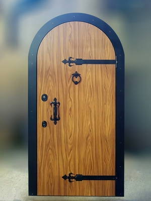 Фото парадных дверей