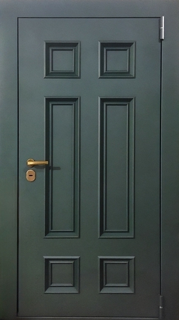 Термодверь металлобагет окрас по RAL